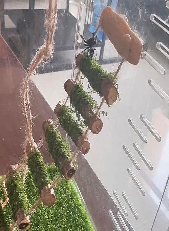Daerky Jumping Spider Rope Bridge,A Solid Wood Climbing Suspension Bridge, a Jumping Spider Enclosure Accessory, Handmade, a Spider Jump Platform, Used As a Decorative Accessory for Small Reptile Enclosures - Image 4